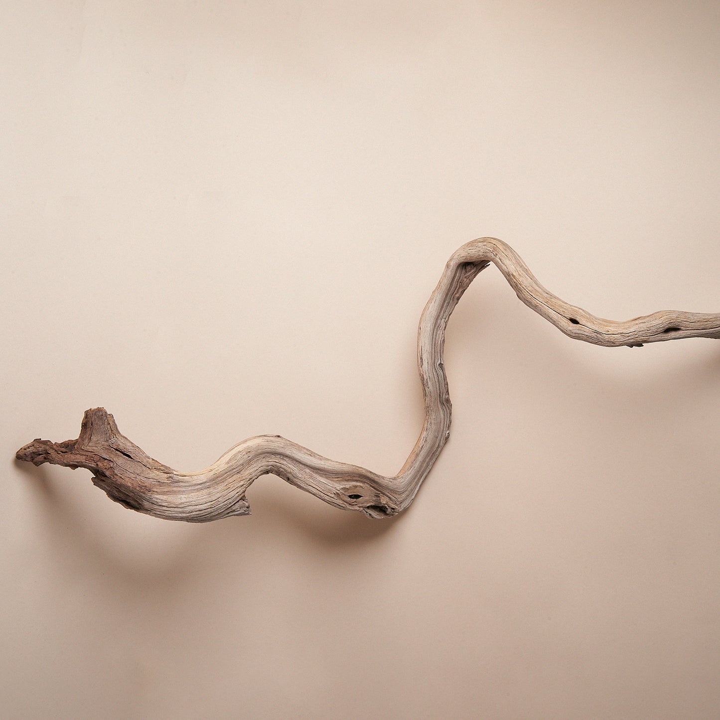 Manzanita Branch - LUMA