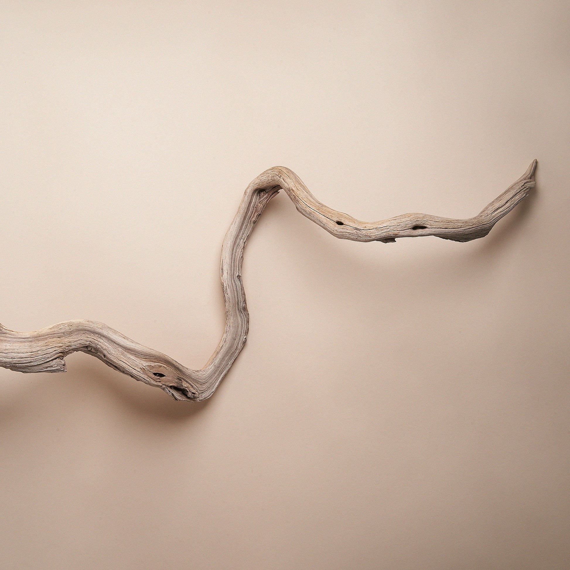Manzanita Branch - LUMA
